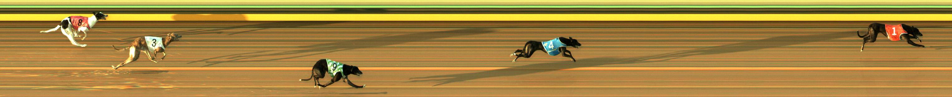 Race result finish photo